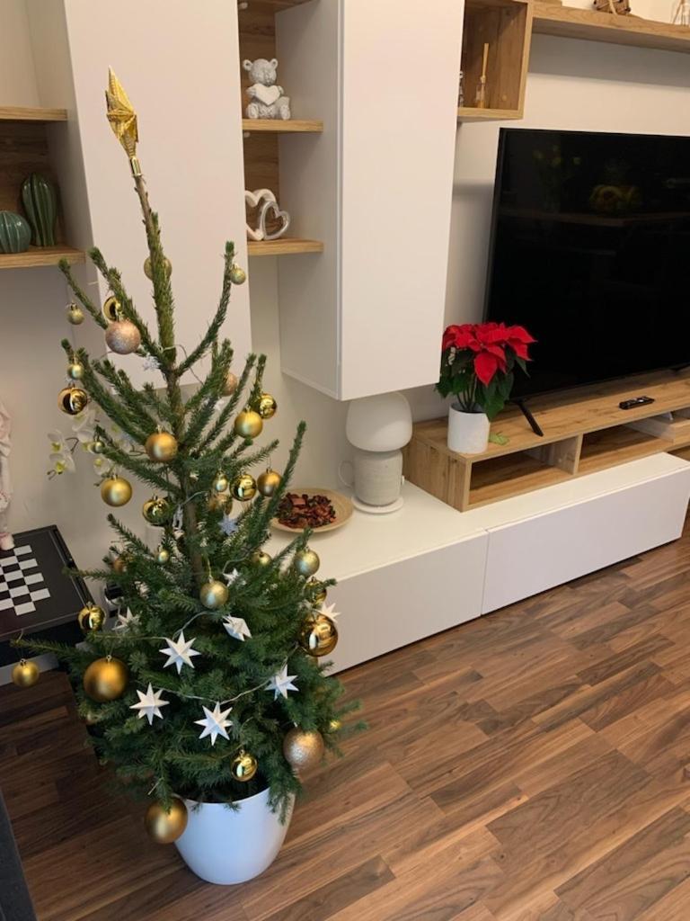 Krejcarek Garden Apartment براغ المظهر الخارجي الصورة